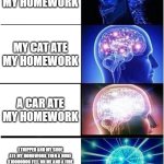 homework | MY DOG ATE MY HOMEWORK; MY CAT ATE MY HOMEWORK; A CAR ATE MY HOMEWORK; I TRIPPED AND MY SHOE ATE MY HOMEWORK THEN A NUKE X10000000 FELL ON ME AND A FIRE ANT COLONY ATE MY HOMEWORK THEN A DOG AND CAT POOPED AND PEED ON MAY AND MY HOMEWORK AND ATE IT. | image tagged in memes,expanding brain | made w/ Imgflip meme maker