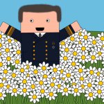 History matters flower field