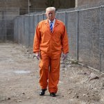 trump prison jail