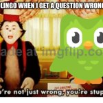 You're not just wrong your stupid | DUOLINGO WHEN I GET A QUESTION WRONG | image tagged in you're not just wrong your stupid | made w/ Imgflip meme maker