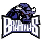Lone Star Brahmas
