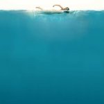 JAWS poster template