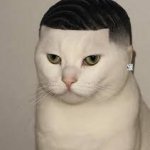 Preciate It Big Dawg