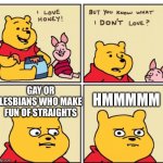 Winnie the Pooh but you know what I don’t like | HMMMMM; GAY OR LESBIANS WHO MAKE FUN OF STRAIGHTS | image tagged in winnie the pooh but you know what i don t like,lgbtq | made w/ Imgflip meme maker