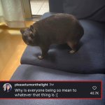 why is everyone being so mean to whatever that thing is