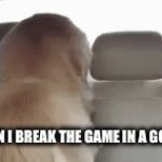 . | ME WHEN I BREAK THE GAME IN A GOOD WAY | image tagged in gifs,dogs | made w/ Imgflip video-to-gif maker