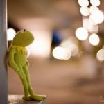 Kermit Reflecting 
