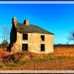 House Mirror Image Mode