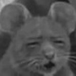 Cursed Mouse