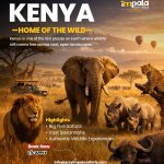 Kenya – Home of the Wild