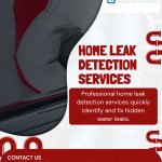 Home Leak Detection Services