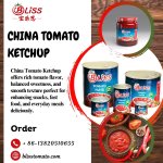 China Tomato Ketchup
