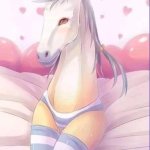 sexy horse