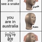 Panik Kalm Panik Meme | you see a snake; you are in australia; y͒o͖ͅṵͦ'r͠e̘ ǎ̪r͉ͭę i̠̙n̋̈́ ą̥ụsͭt͓̕r͈̉a̘̎l̋i̚a̪̰ | image tagged in memes,panik kalm panik | made w/ Imgflip meme maker
