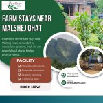 Farm Stays Near Malshej Ghat
