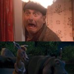 Duke and Eze laugh at Harry's head on fire | image tagged in duke and eze laugh at what,deviantart,crossover,disney,20th century fox,home alone | made w/ Imgflip meme maker