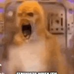 Just thought I'd post this | FEMINISTS WHEN IT'S "HISTORY" INSTEAD OF "HERSTORY" | image tagged in gifs,gif | made w/ Imgflip video-to-gif maker