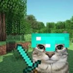 minecraftkitty