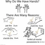 Duck is god | Duck; Duck; Duck; the Duck | image tagged in why do we have hands all blank | made w/ Imgflip meme maker