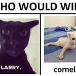 Who Would Win? Meme | image tagged in memes,who would win | made w/ Imgflip meme maker