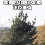 Tree giving the finger | GOD SPEAKS IN SIGNS
THE SIGNS: | image tagged in tree giving the finger | made w/ Imgflip meme maker