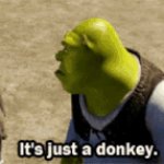 Its just a donkey
