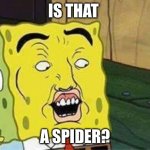 sponge bob bruh | IS THAT; A SPIDER? | image tagged in sponge bob bruh | made w/ Imgflip meme maker