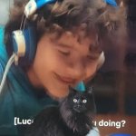 What're You Doing? (Cat)