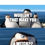 1600s woman | WOMAN IN THE 1600S: DOES LITERALLY ANYTHING REMOTELY WRONG; WOULDN'T THAT MAKE YOU; A WITCH?? | image tagged in wouldn't that make you,history,penguins of madagascar,historical meme | made w/ Imgflip meme maker
