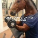 Horses don’t stop