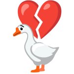 Duck na nagrerelapse