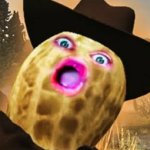 Bungie community when Peanut yell