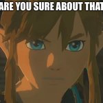 link | ARE YOU SURE ABOUT THAT | image tagged in link | made w/ Imgflip meme maker