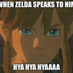 link | WHEN ZELDA SPEAKS TO HIM; HYA HYA HYAAAA | image tagged in link | made w/ Imgflip meme maker