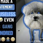 he made a statement so useless