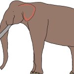 Male Palaeoloxodon (Paleoverse + EOIverse)