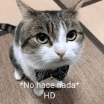 Cat HD