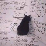 Math Cat