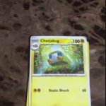 Grubbin evolution meme