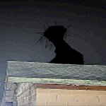 I found the boiled one IRL