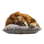 Mientras la Bestia Duerme