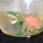 Predasaurs Praxxis in a Jug of Cold Water meme