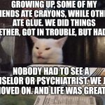 Smudge that darn cat | GROWING UP, SOME OF MY FRIENDS ATE CRAYONS, WHILE OTHERS ATE GLUE. WE DID THINGS TOGETHER, GOT IN TROUBLE, BUT HAD FUN. NOBODY HAD TO SEE A COUNSELOR OR PSYCHIATRIST. WE JUST MOVED ON. AND LIFE WAS GREAT | image tagged in smudge that darn cat | made w/ Imgflip meme maker