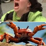 lib-crab