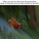Stray: the game I love and still cry over | When you text bro about how the government spies on everyone and you hear a knock on the door | image tagged in stray cat falls,memes,funny,gaming,cat,government | made w/ Imgflip meme maker