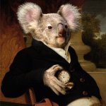 Gentleman koala