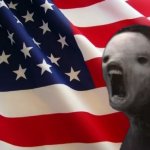 void lazy but patriotic template