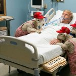 Time to pull the plug meme