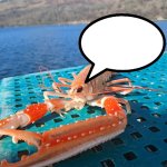 Speech bubble prawn meme