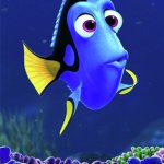 dory